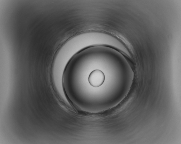 X0000114440489200910161358