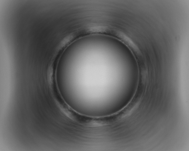 X0000114440490200910161358