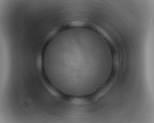 X0000114440494200910161358