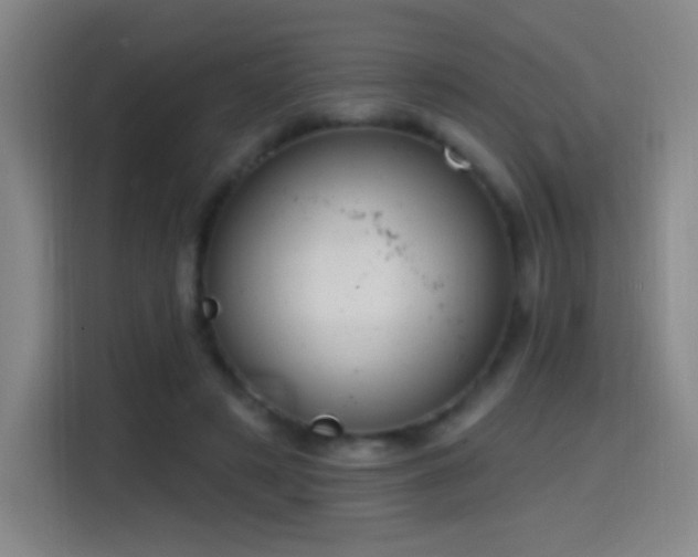 X0000114440497200910161358