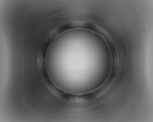 X0000114440498200910161358