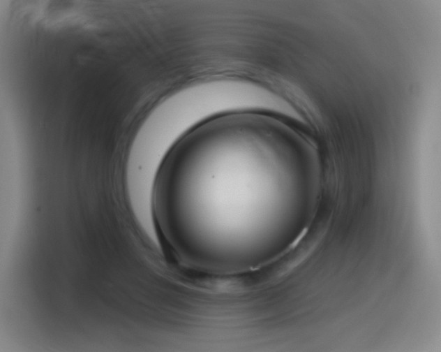 X0000114440501200910161358