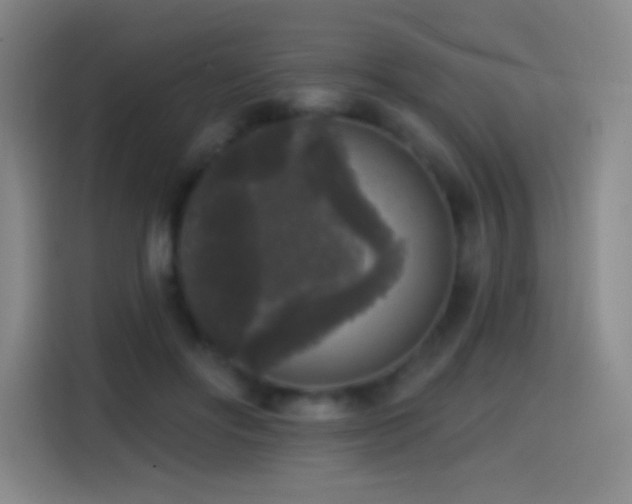 X0000114440502200910161358