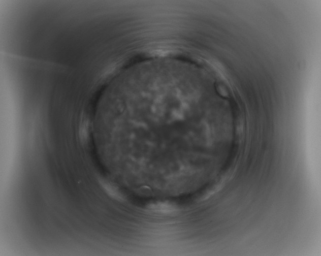X0000114440503200910161358