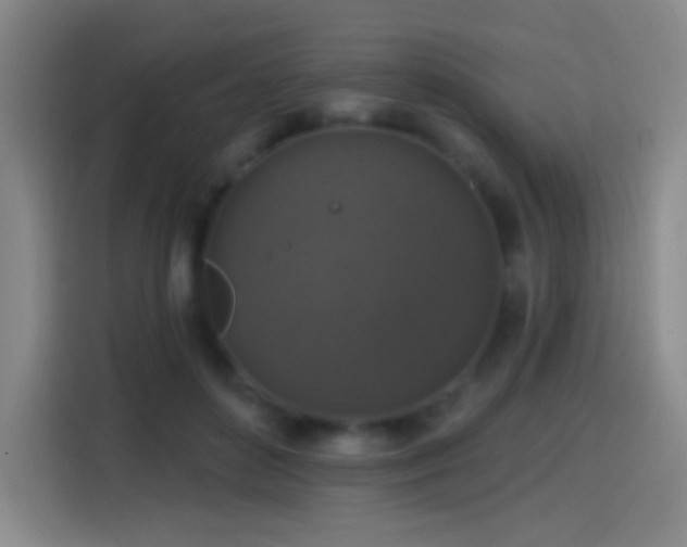 X0000114440504200910161358