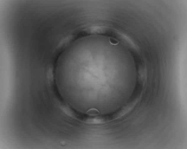 X0000114440506200910161358