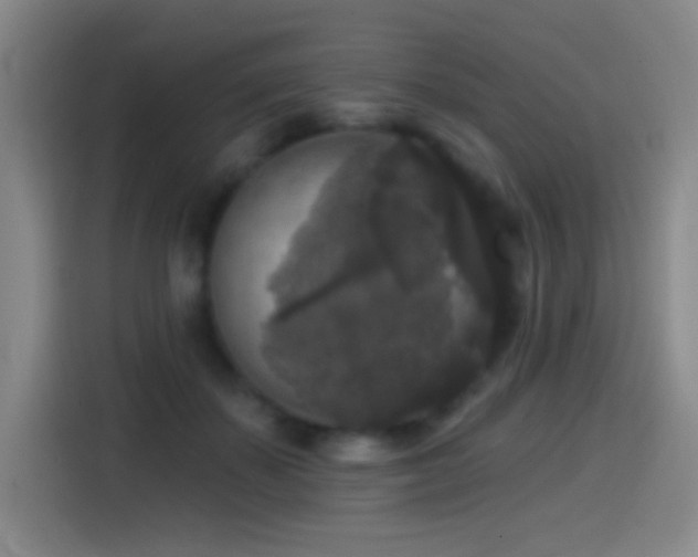 X0000114440507200910161358
