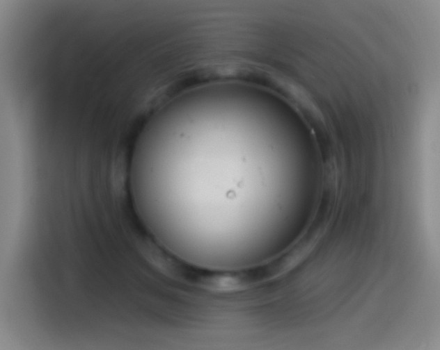 X0000114440509200910161358