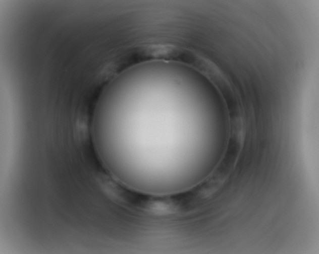 X0000114440510200910161358