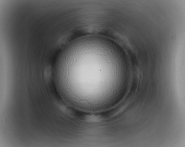 X0000114440511200910161358