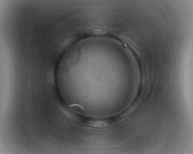 X0000114440512200910161358