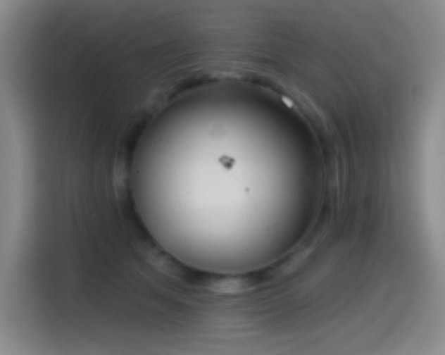 X0000114440513200910161358