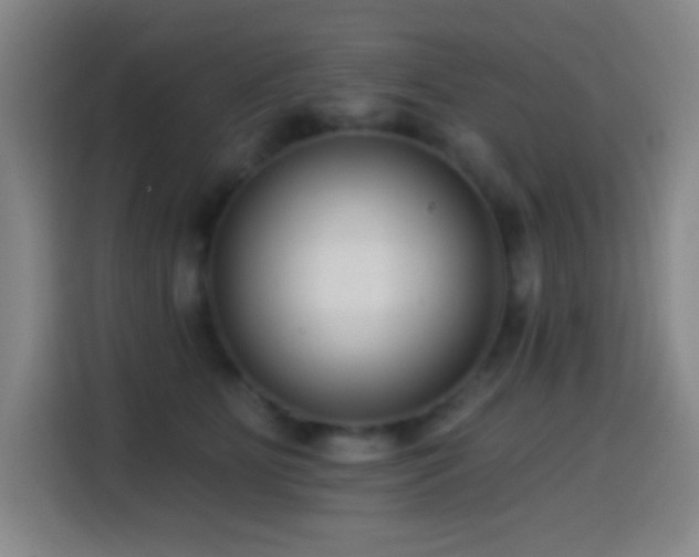 X0000114440515200910161358