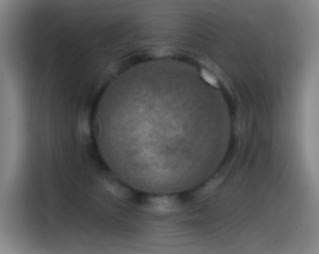 X0000114440516200910161358