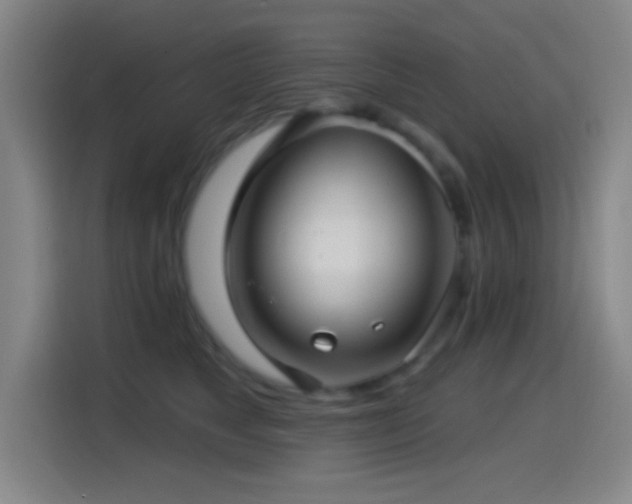 X0000114440517200910161358