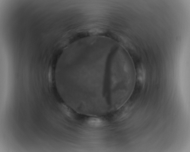 X0000114440519200910161358
