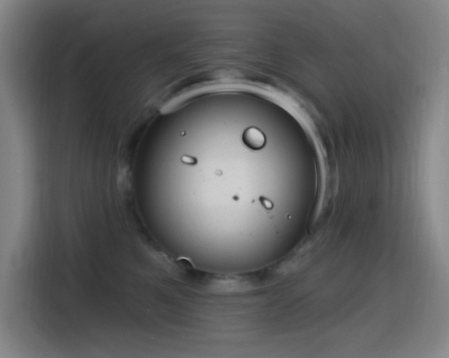 X0000114440521200910161358