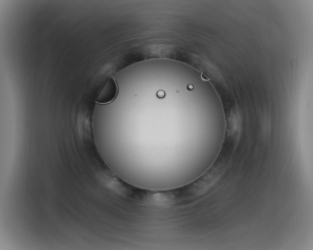X0000114440522200910161358
