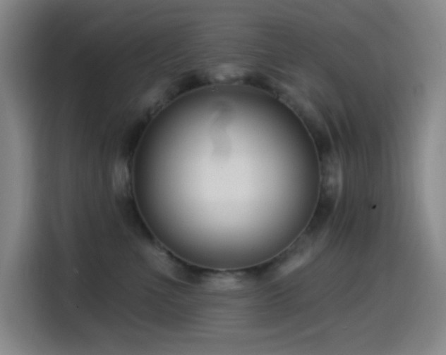 X0000114440523200910161358