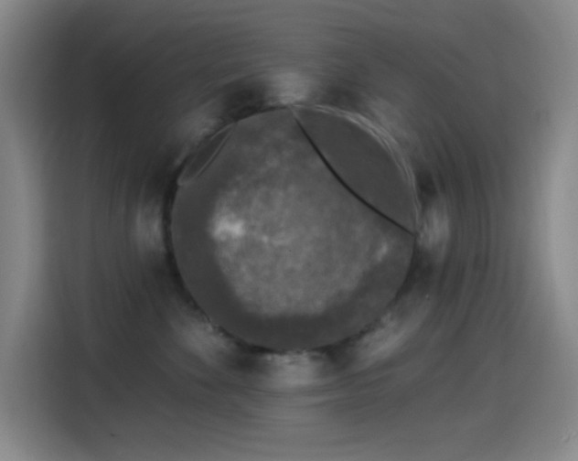 X0000114440524200910161358