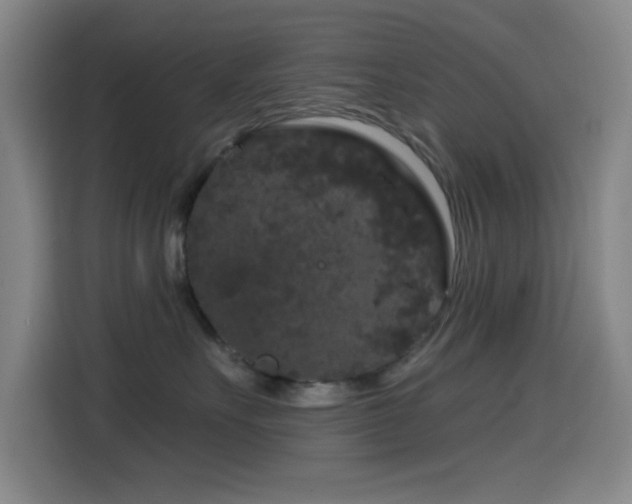 X0000114440527200910161357