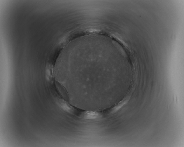 X0000114440528200910161357