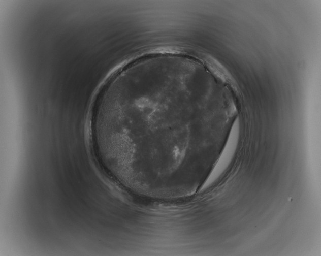 X0000114440531200910161357