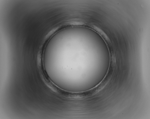 X0000114440533200910161357