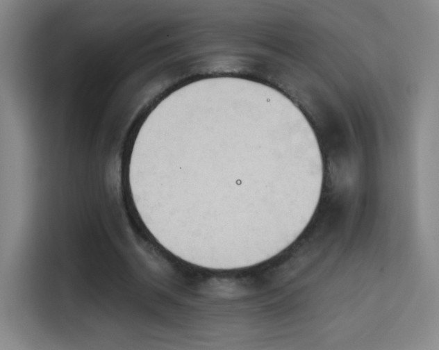 X0000114440534200910161357