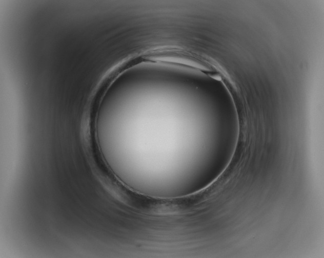 X0000114440535200910161357