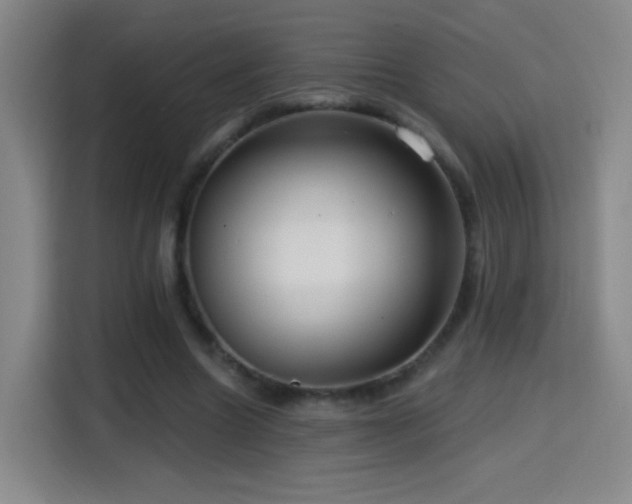 X0000114440538200910161357