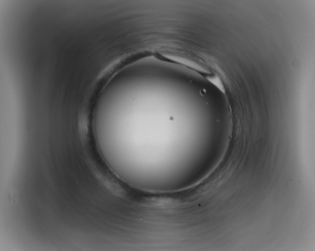 X0000114440539200910161357