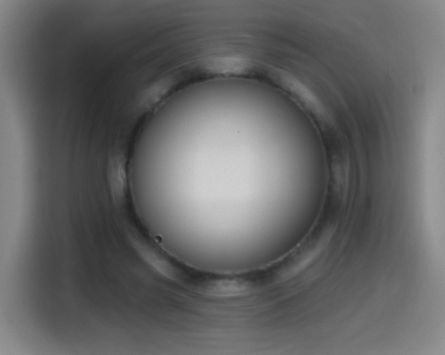 X0000114440541200910161357
