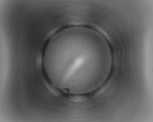 X0000114440542200910161357