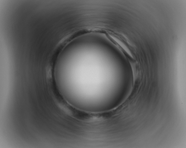 X0000114440543200910161357
