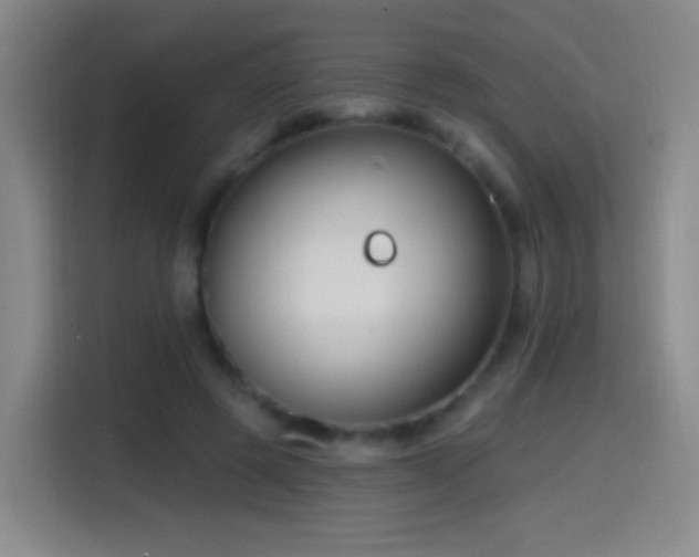 X0000114440545200910161357
