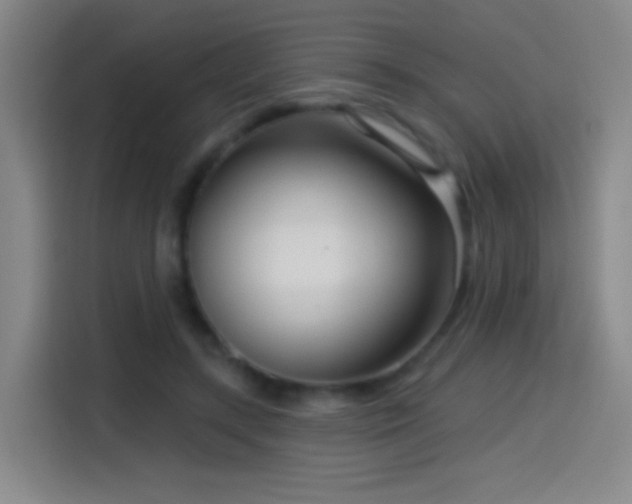 X0000114440547200910161357