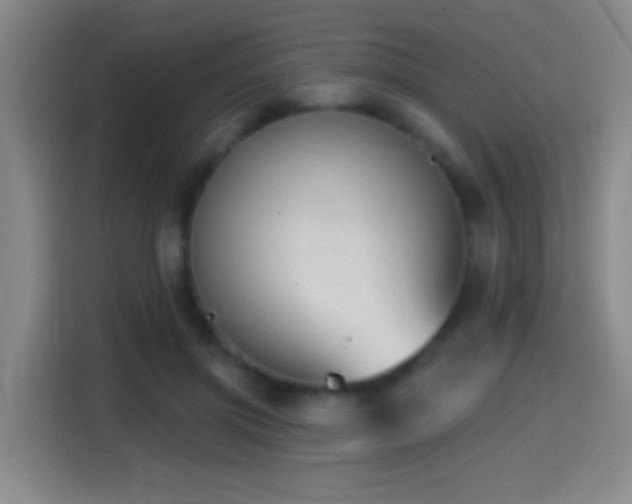 X0000114440549200910161357