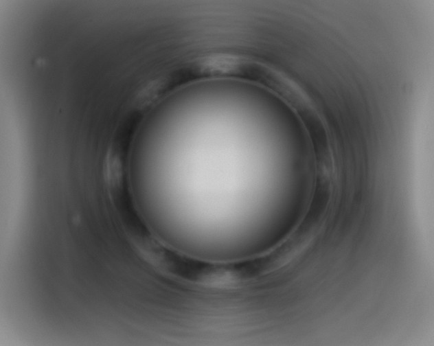 X0000114440551200910161357