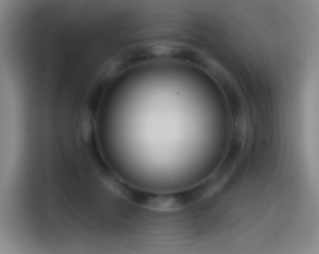 X0000114440554200910161357