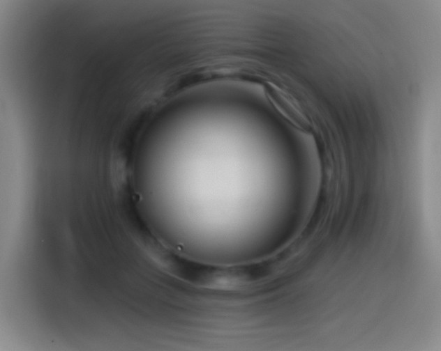 X0000114440555200910161357