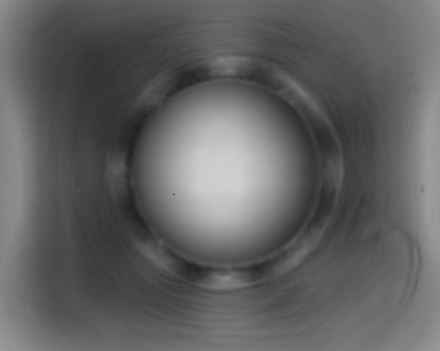 X0000114440557200910161357