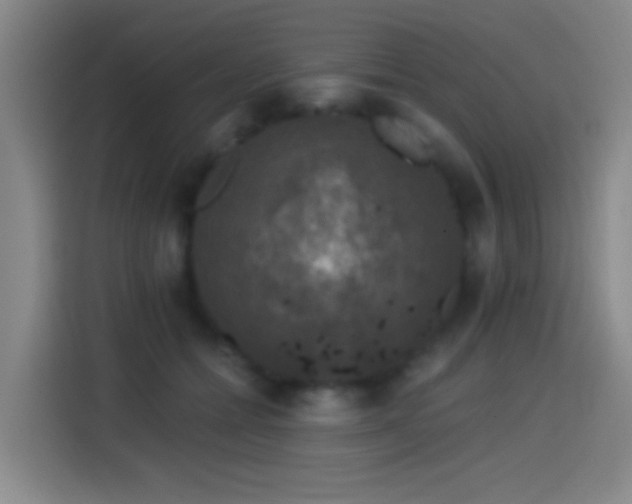 X0000114440558200910161357