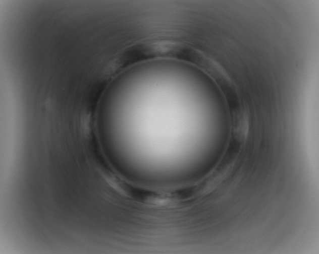 X0000114440563200910161357
