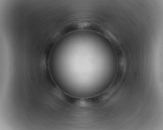X0000114440565200910161357