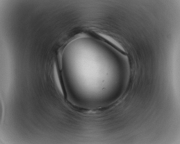 X0000114440566200910161357
