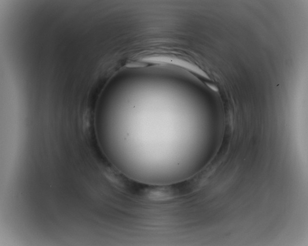 X0000114440567200910161357