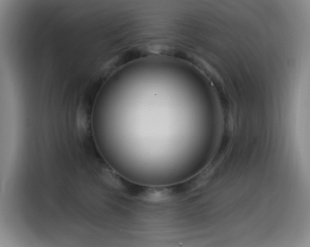 X0000114440569200910161357