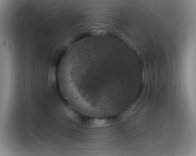 X0000114440570200910161357