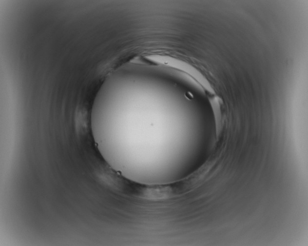 X0000114440571200910161357